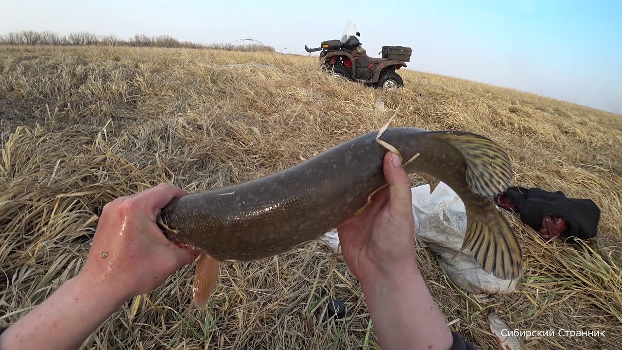 Маленькая речка полная рыбы. Рыбалка на паук, подъёмник.