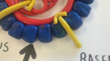 Ultrafiltration and selective reabsorption