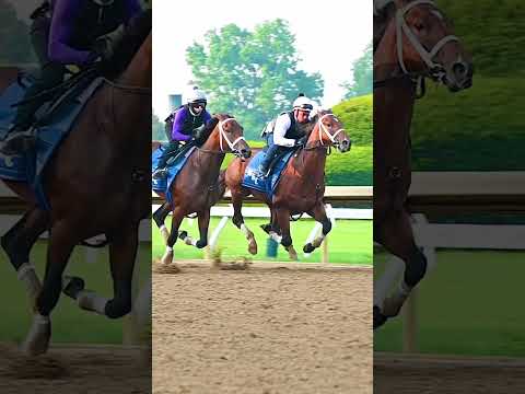 Thoroughbred Race Horses Running in Sync - #shorts