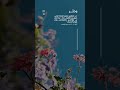 رب اجعلني مقيم الصلاة ومن ذريتي ربنا وتقبل دعاء ربنا اغفر لي ولوالدي وللمؤمنين يوم يقوم الحساب