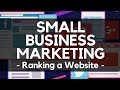 Small business marketing from profiletree digital agency