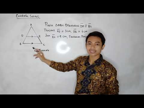 Video: Apa perbedaan segmen garis dan segmen garis?