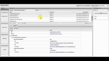2 - Mad Swan: Basic registry functionalities