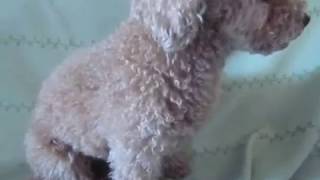 あっそうだ 唐突 お前さっきチラチラ見てただろ 因縁 Youtube