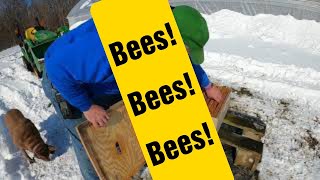 Moving My Bees!