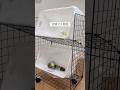 100均だけで！分別ゴミ箱の作り方