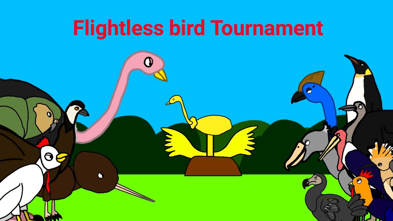 Flightless bird tournament.