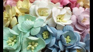 Wild Orchid Crafts DT Box & Haul!