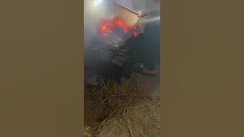 Thịt chuột đồng thui rơm thơm phức cả xóm