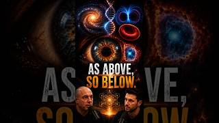Joe rogan "The universe left a hidden code inside your body... 🤯 #shorts