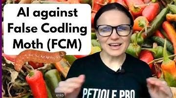 False Codling Moth in Chillies: Mobile Multi-View AI for Early Detection, Maps & Quarantine Risk