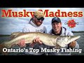Musky Madness (Ontario's Top Musky Fishing)!