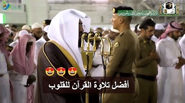 ( وقل رب أعوذ بِك من همزات الشياطين ) أفضل تلاوة القرآن للقلوب || الشيخ د. بندر بليلة