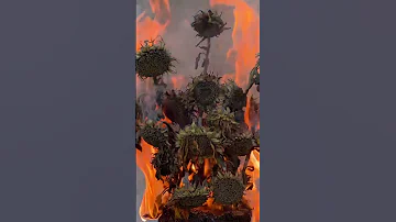 Sunflowers Burning Shorts 