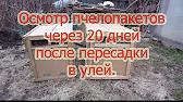 ПАСЕКА ВЛАДИМИРА РЯБУХИНА