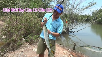 Giật Mỏi Tay Khi Đến Rừng Sác Cần Giờ Câu Cá