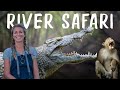 Borneo wildlife on the kinabatangan river  malaysia travel vlog