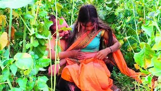 सरसो के खेत में होली मनाते प्रेम के पक्षी || Happy Holi || Comedy Plus With Neetuarya 