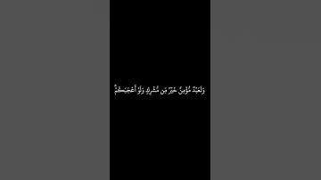 #القرآن_الكريم #الفرقان #الذكر #سورة_البقرة #محمد_اللحيدان #قرآن #القران_الكريم #quran #قران_كريم