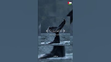 ✨️و ما بعد الصبر إلا الجبر ❤️🍉#قرآن #اكسبلور #تلاوة_خاشعة #islamic #المصحف #فلسطين #غزة