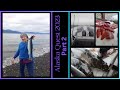 Alaska Quest Part 2 - Little Spider - Se.7 Ep.30 By : Quest For Details