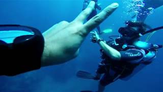Scuba Diving - Phuket - Seas Bees Diving oct 2017 4K