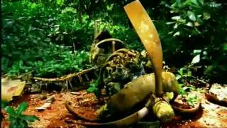 Survivor Intro Request 66