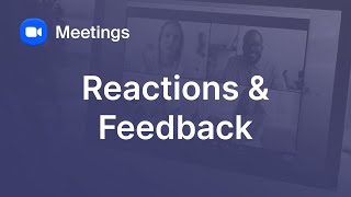 Meeting Reactions and Nonverbal Feedback