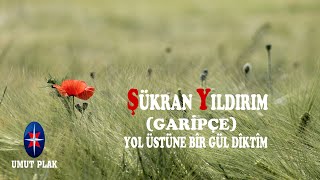 Bu Türküler'le Ağlamamak Elde Değil  Uzun Hava / Şükran Yıldırım - Garipçe Yol Üstüne Bir Gül Diktim Resimi