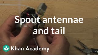 Spout antennae and tail | Home-made robots | Electrical engineering | Khan Academy