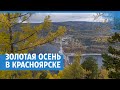 Золотая осень в Красноярске | NGS24.ru