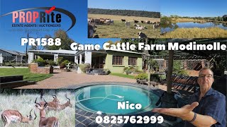 PR1588 Game and Cattle farm 442 ha with lots of water and potencial for planting Modimole Limpopo