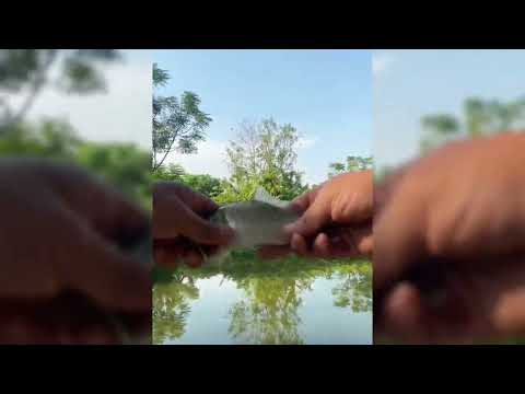 Ký sự cần thủ - T30