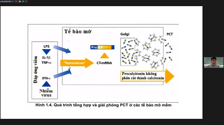 Pct trong công thức máu là gì năm 2024