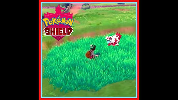 SHINY HUNTING ZIGZAGOON FOR SHINY BADGE QUEST #shinybadgequest #swordandshield #shinyhunting #shield