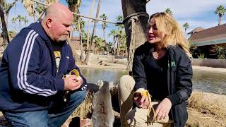 Famous Lemur Island | Wild Things with Brady Bogen + Kristy Morcom Wealth