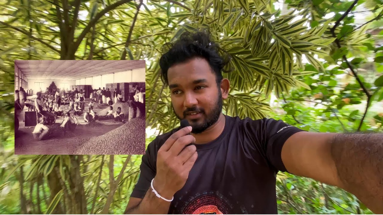 Episode 014: ලංකාවේ තේ කඩ එන්න කලින් තිබ්බෙ කෝපි කඩ | Ceylon Coffee