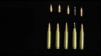 Different Type of Bullets—Explanation and Information.