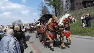 iKnurow.pl - Procesja konna - 2019 DSCF3644