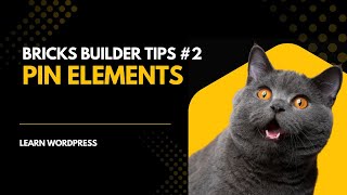 Pin Elements for Faster Workflow. Bricks Builder Tips Series #2