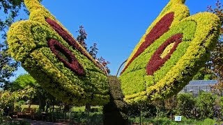 Atlanta Botanical Garden - Imaginary Worlds