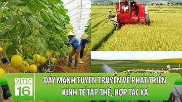 Đẩy mạnh tuyên truyền về phát triển kinh tế tập thể, hợp tác xã trong giai đoạn mới | VTC16
