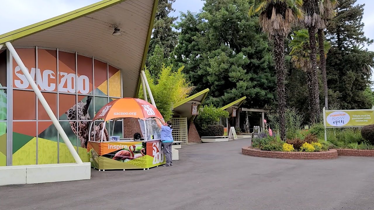 At the Zoo - YouTube