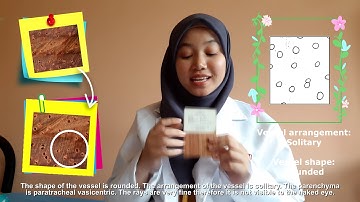 FHH3102_MEDIUM HARDWOOD_10_19/20