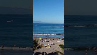 CANARY ISLANDS 🏖️ COSTA ADEJE ⛱️ TENERIFE