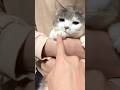 オネムンティヌス