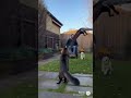 How Brave the Cat is, She Saved Her Human… and a Puppy! #cat #shortvideo #sora