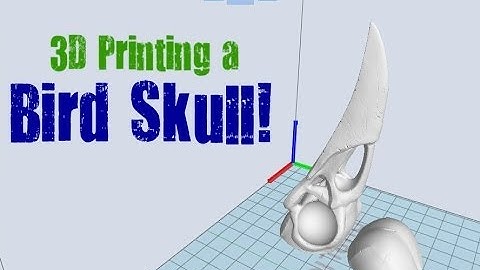 Wanhao Duplicator 5 - 3D Printing Raven Skull