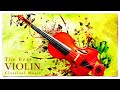 The Best Violin Classical Music - Vivaldi Cherubini Cambini Leoni | Italian Baroque