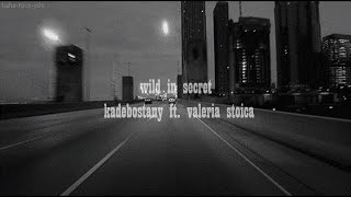 wild in secret, kadebostany ft. valeria stoica (slowed and reverb)